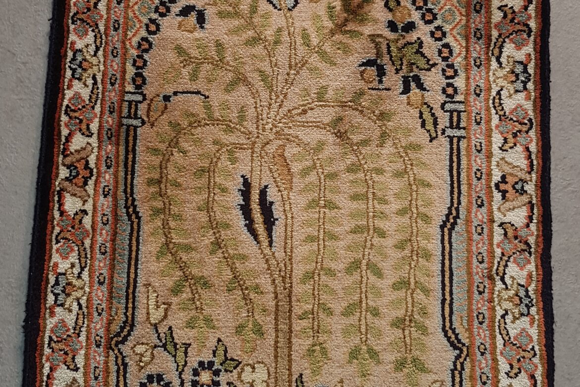 Galerie Shirazi_Pau_tapis n 262054-1