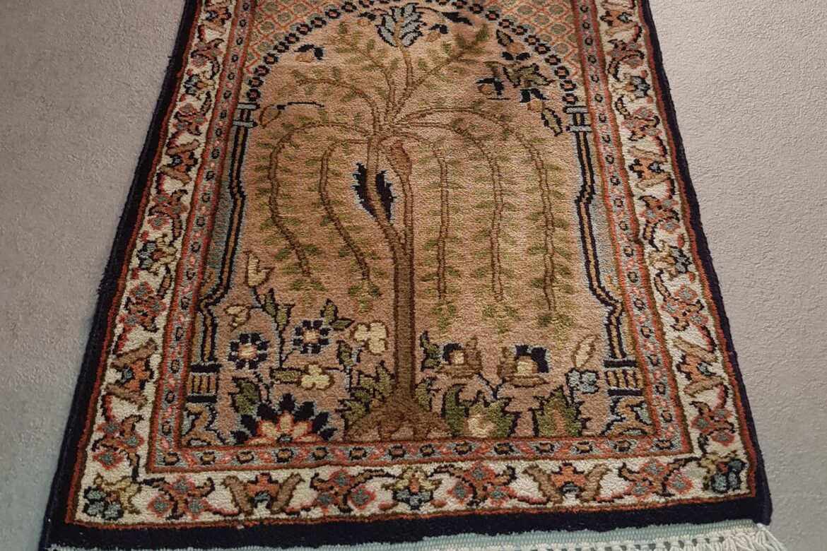 Galerie Shirazi_Pau_tapis n 262054